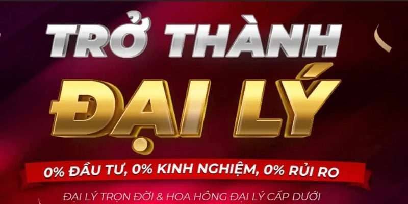 Cung cấp thông tin cần thiết thiết để đăng ký đại lý NOHU90