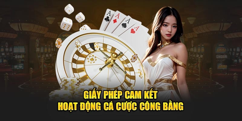 Lý do NOHU90 đạt được sự công nhận từ các tổ chức hàng đầu